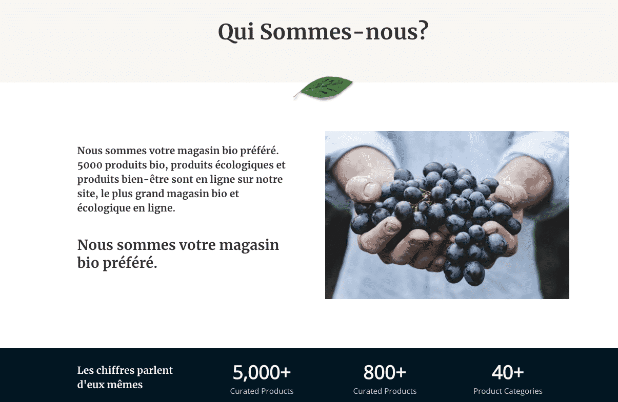 lingotek et polylang