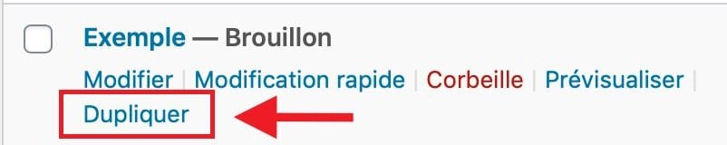 Plugin Dupliquer Article WordPress 8