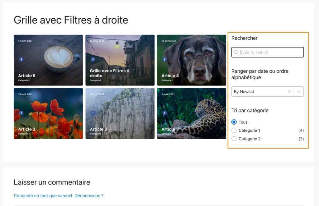 wp gridbuilder plugin grille filtre wordpress 52
