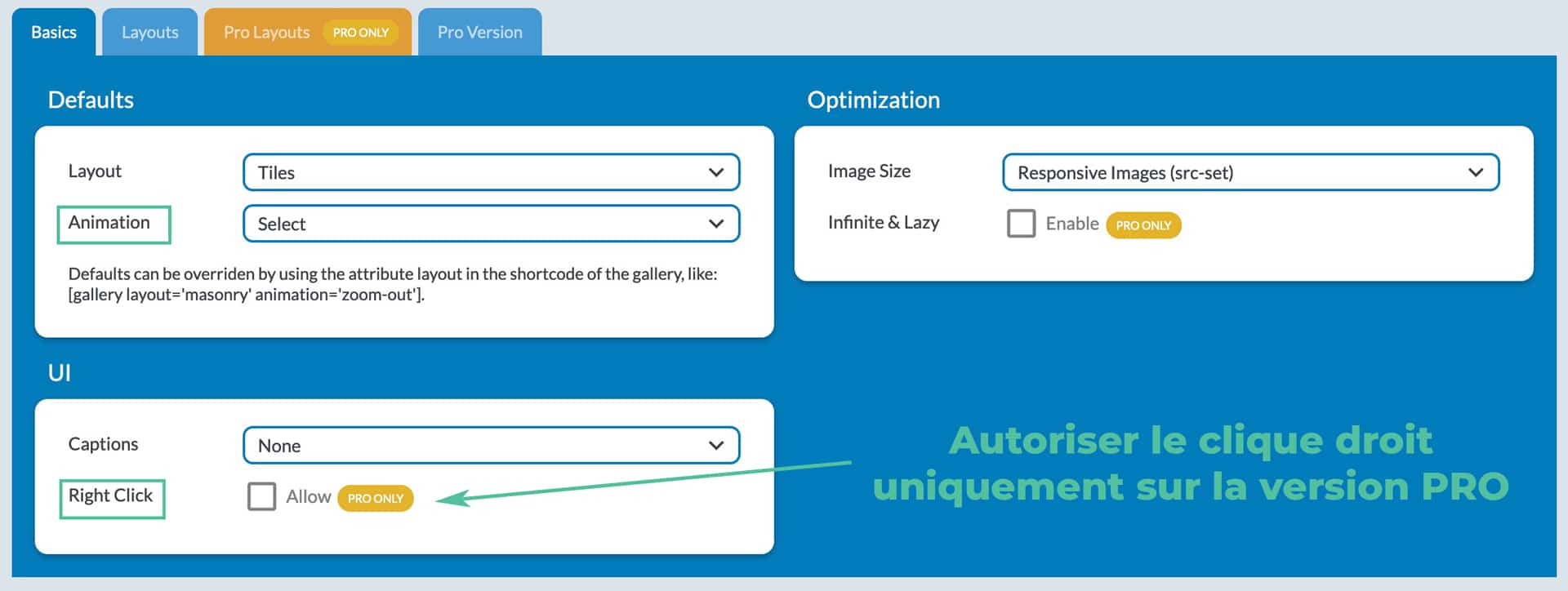 plugin galerie photo wordpress meow gallery 13