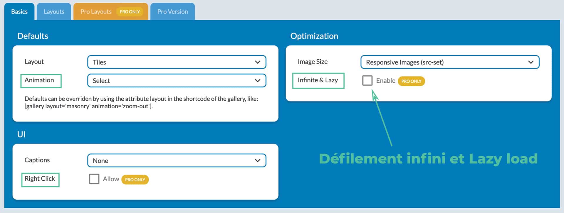 plugin galerie photo wordpress meow gallery 14