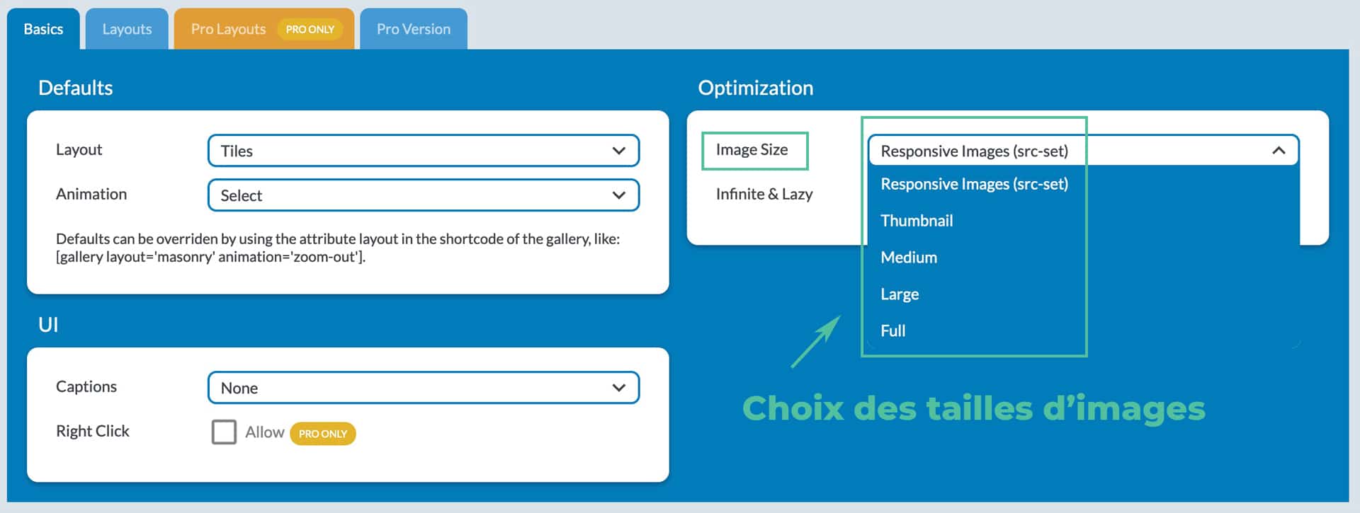 plugin galerie photo wordpress meow gallery 16