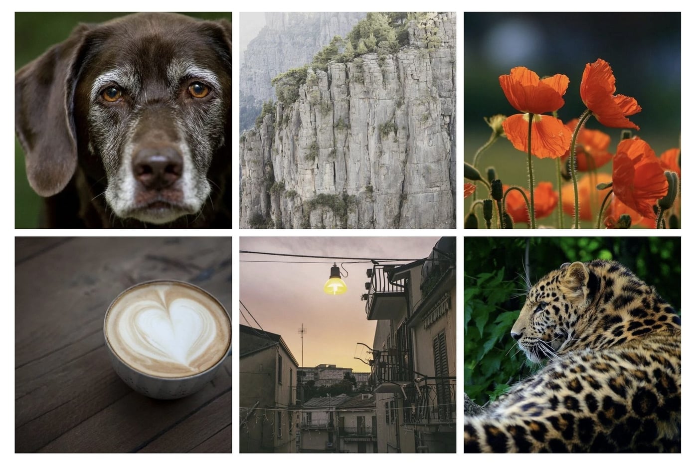 plugin galerie photo wordpress meow gallery 25