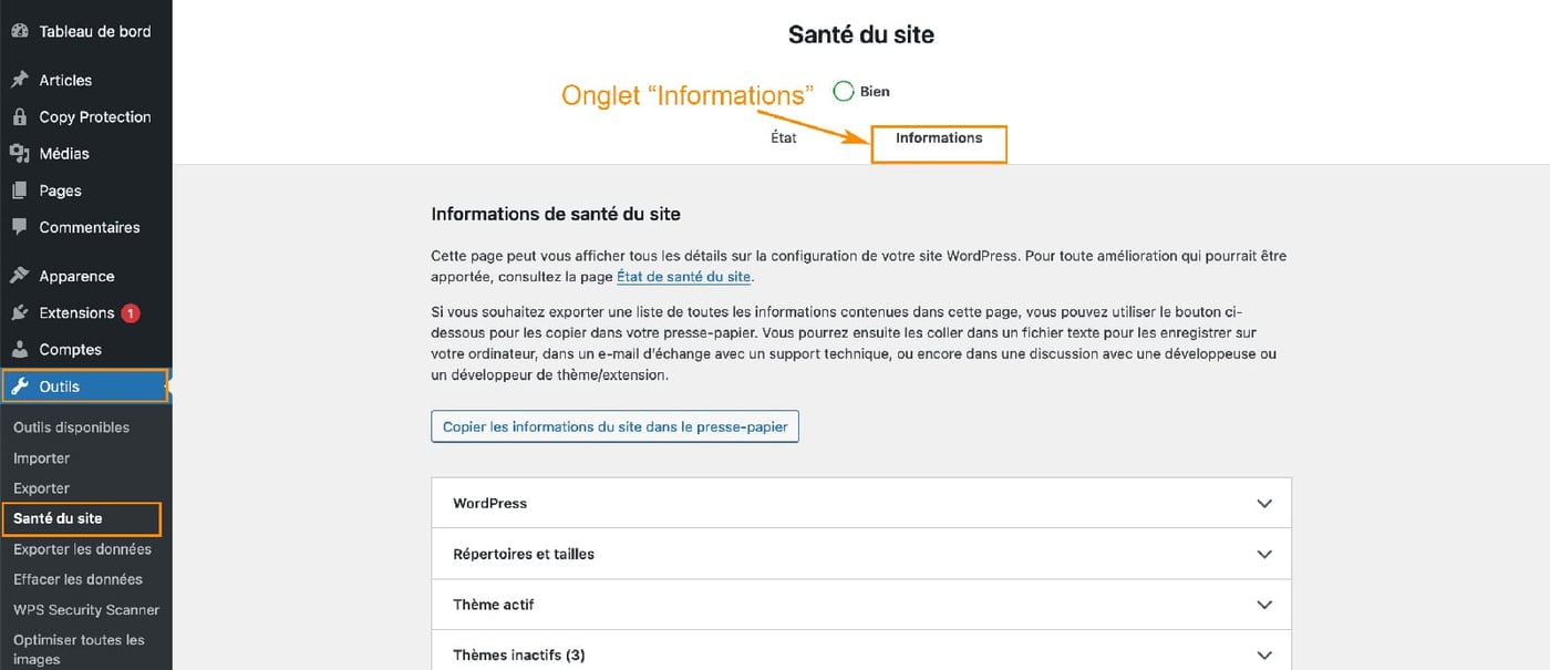 Onglet Informations de l'outil Santé du site WordPress
