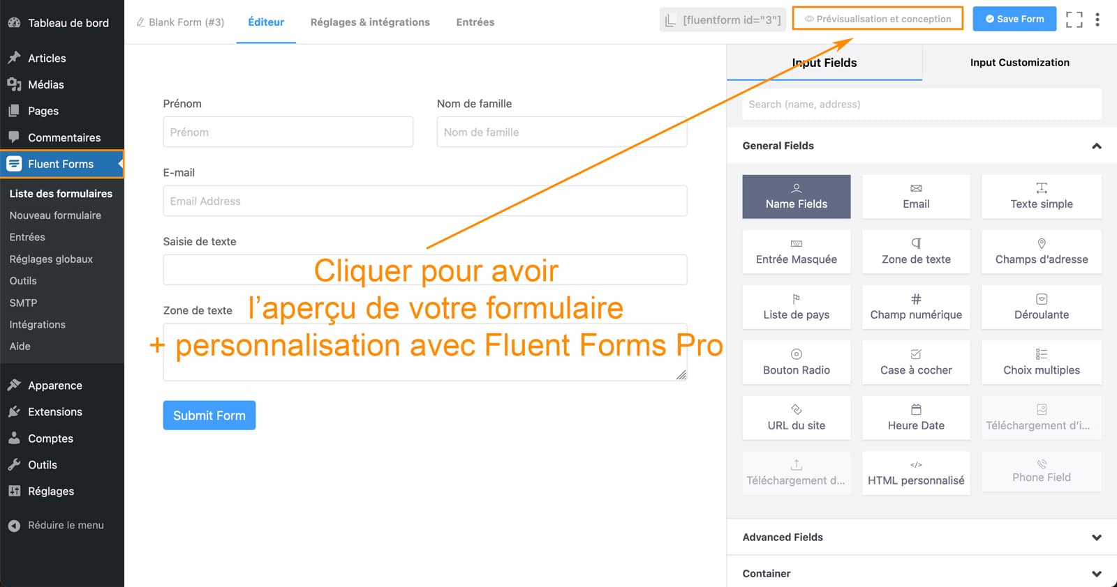 Aperçu du formulaire Fluent Forms sur WordPress