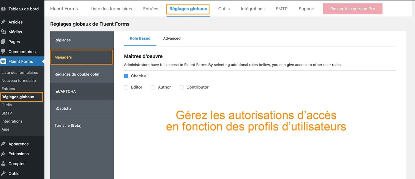 Réglages généraux de Fluent Forms