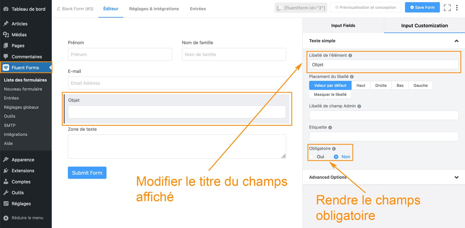 Tutoriel de Fluent Forms le plugin de formulaire WordPress