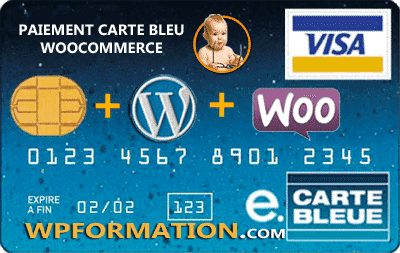 Paiement carte bleue WooCommerce Paiement carte bleue WooCommerce