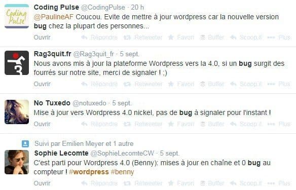 bug-mise-a-jour-wordpress