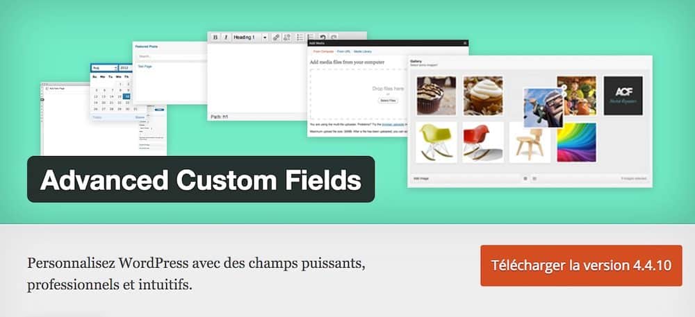 Advanced Custom Fields Plugin WordPress