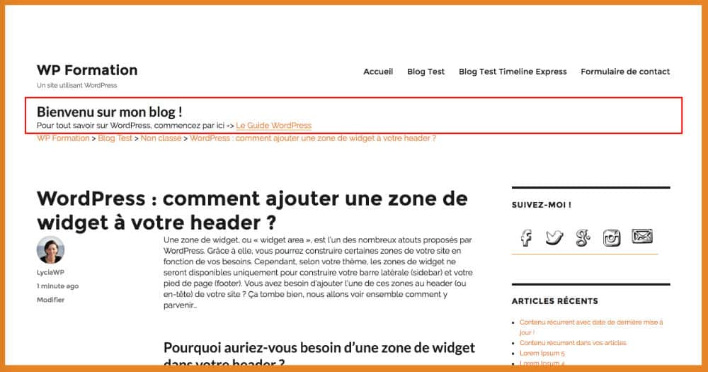 Apparence du Header avant modification CSS