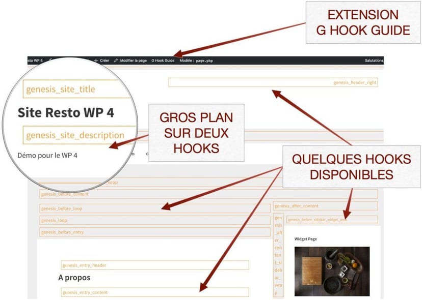 Aperçu des Hook Genesis avec l'extension Genesis Hook Guide