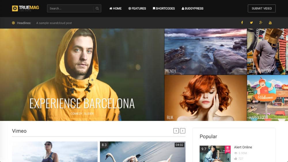 Truemag - thèmes magazine WordPress