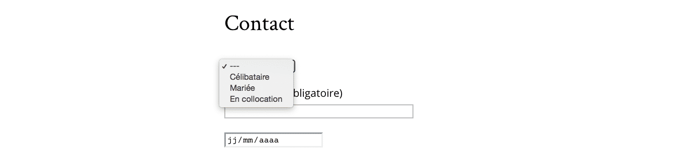 bouton-radio-contact-form7-20