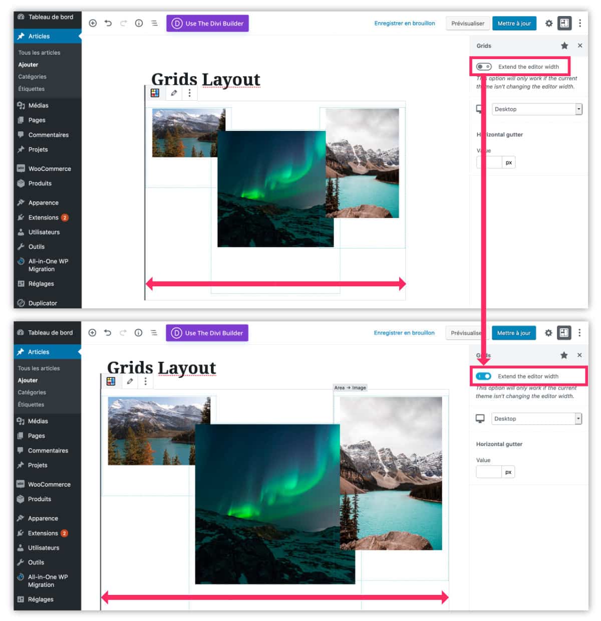 Option Extended Editor