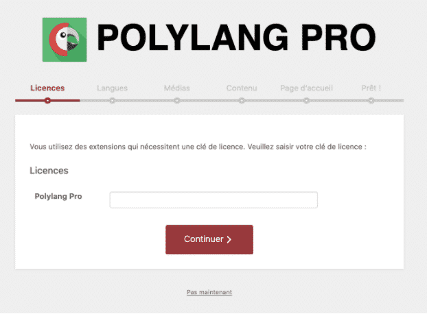 Polylang Pro Wizard