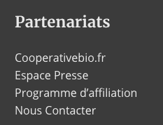 traduire ses widgets avec polylang