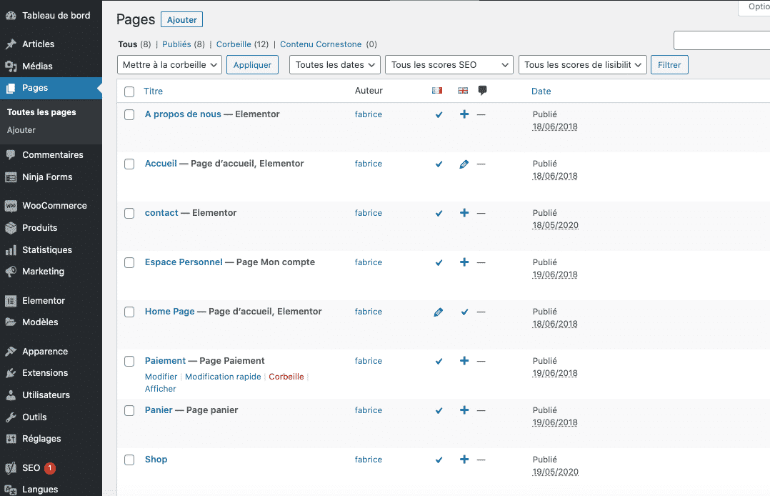 Liste des pages pour traduire avec Polylang