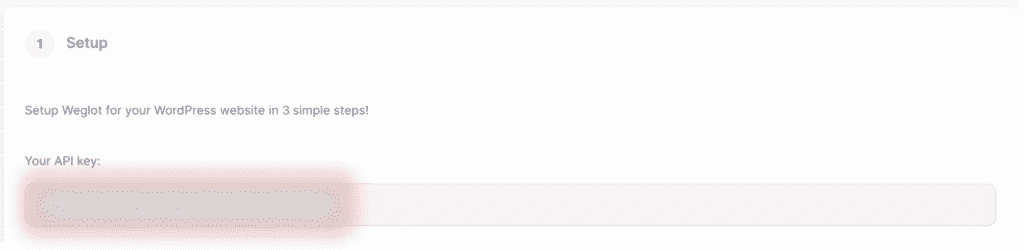 Tutoriel Weglot WPFormation prix par an clé api
