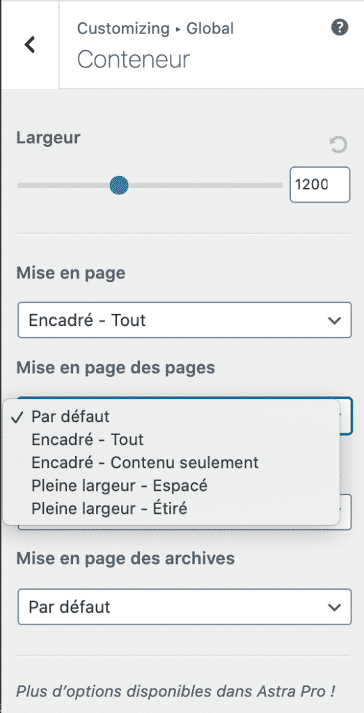 astra wpformation mise en page