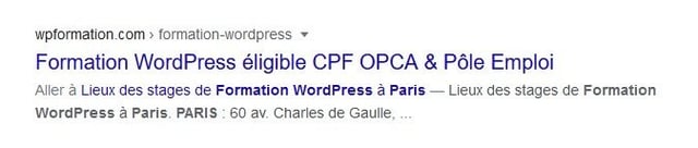 Meta Description Reecrite Par Google