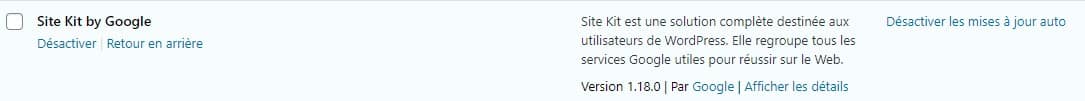 Mettre à Jour Plugin Site Kit Google