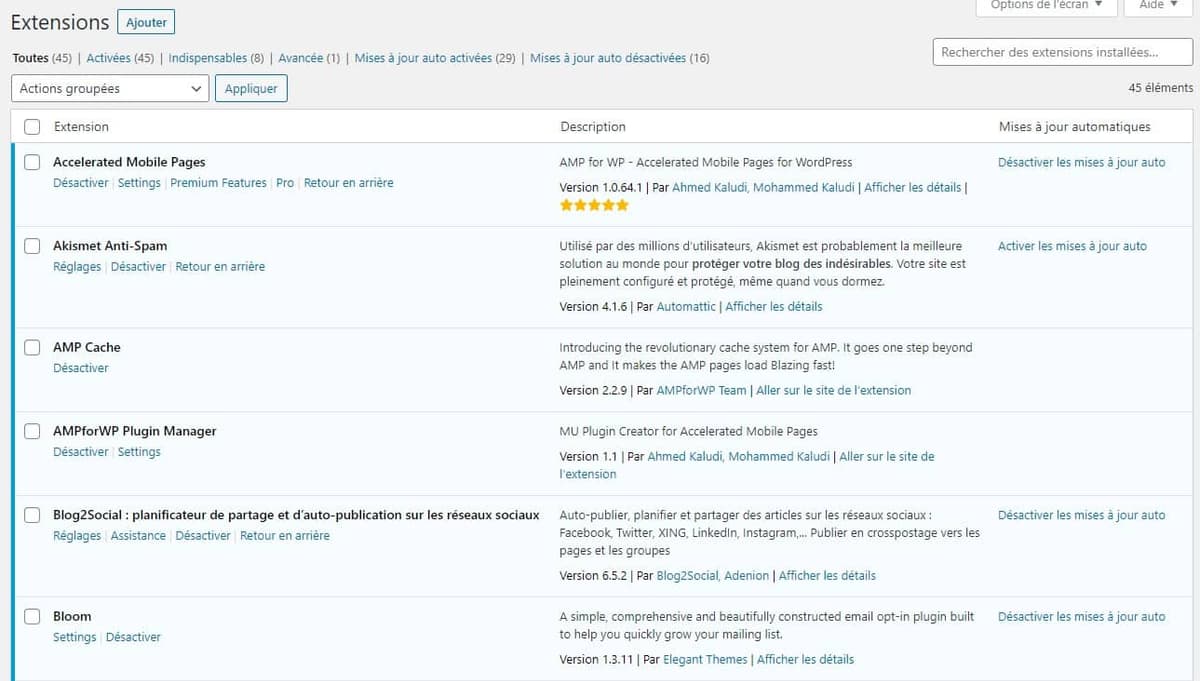 Mise A Jour Automatiques Plugins WordPress