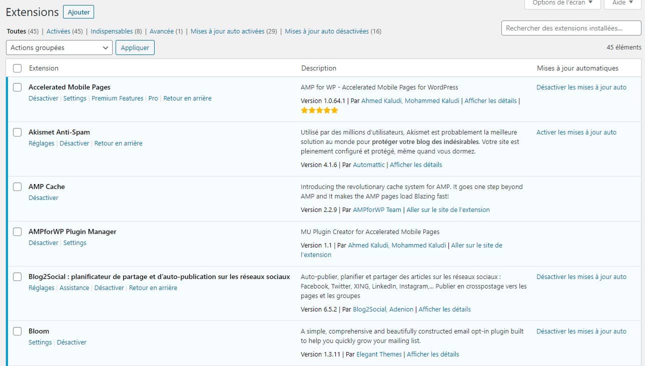 Mise A Jour Automatiques Plugins WordPress