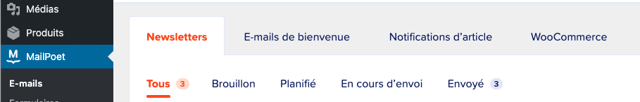 Mailpoet3 Wpformation28