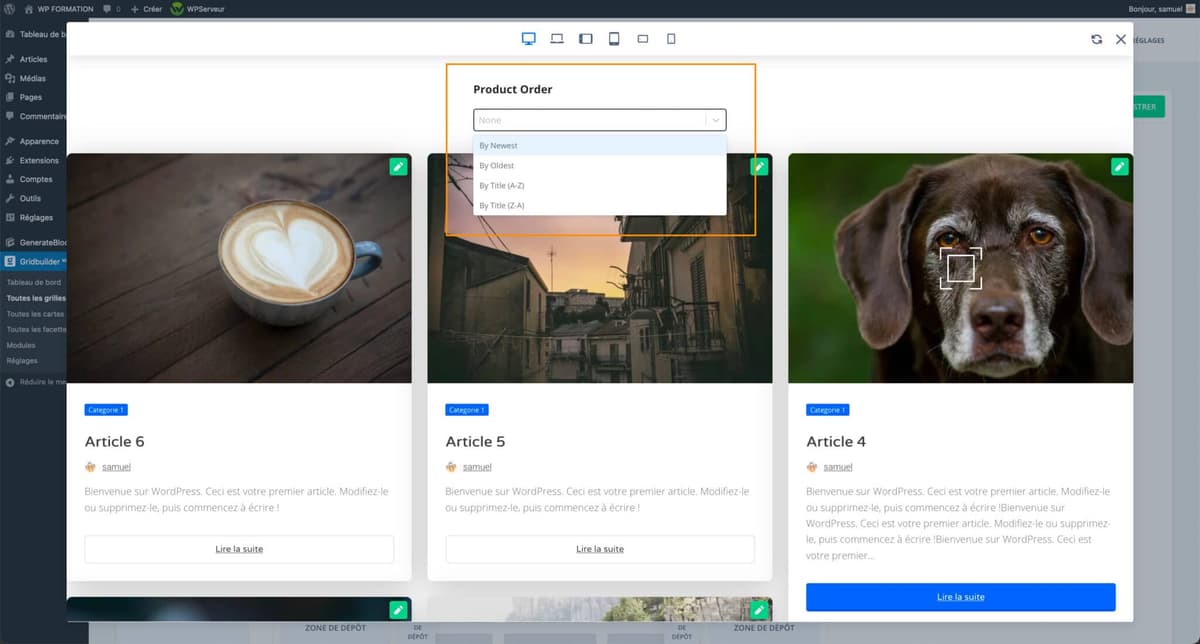 wp gridbuilder plugin grille filtre wordpress 33