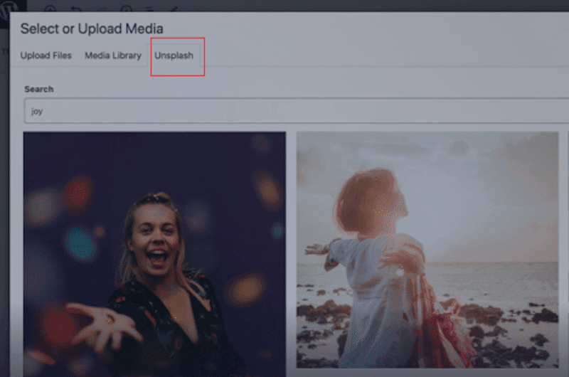 wpformation unsplash api