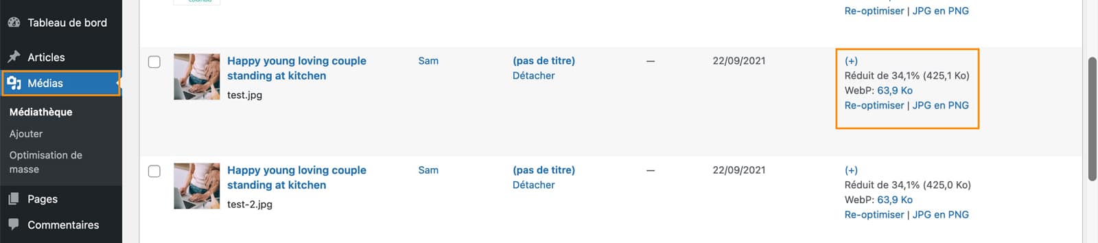 Tutoriel pour utiliser le plugin EWWW imagine optimizer pour WordPress