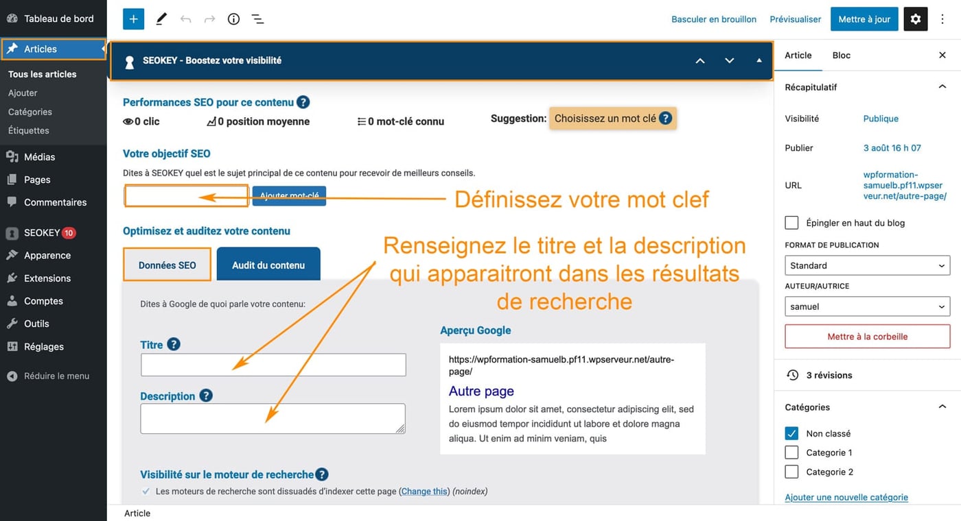 Tutoriel pour utiliser le plugin SEOKEY