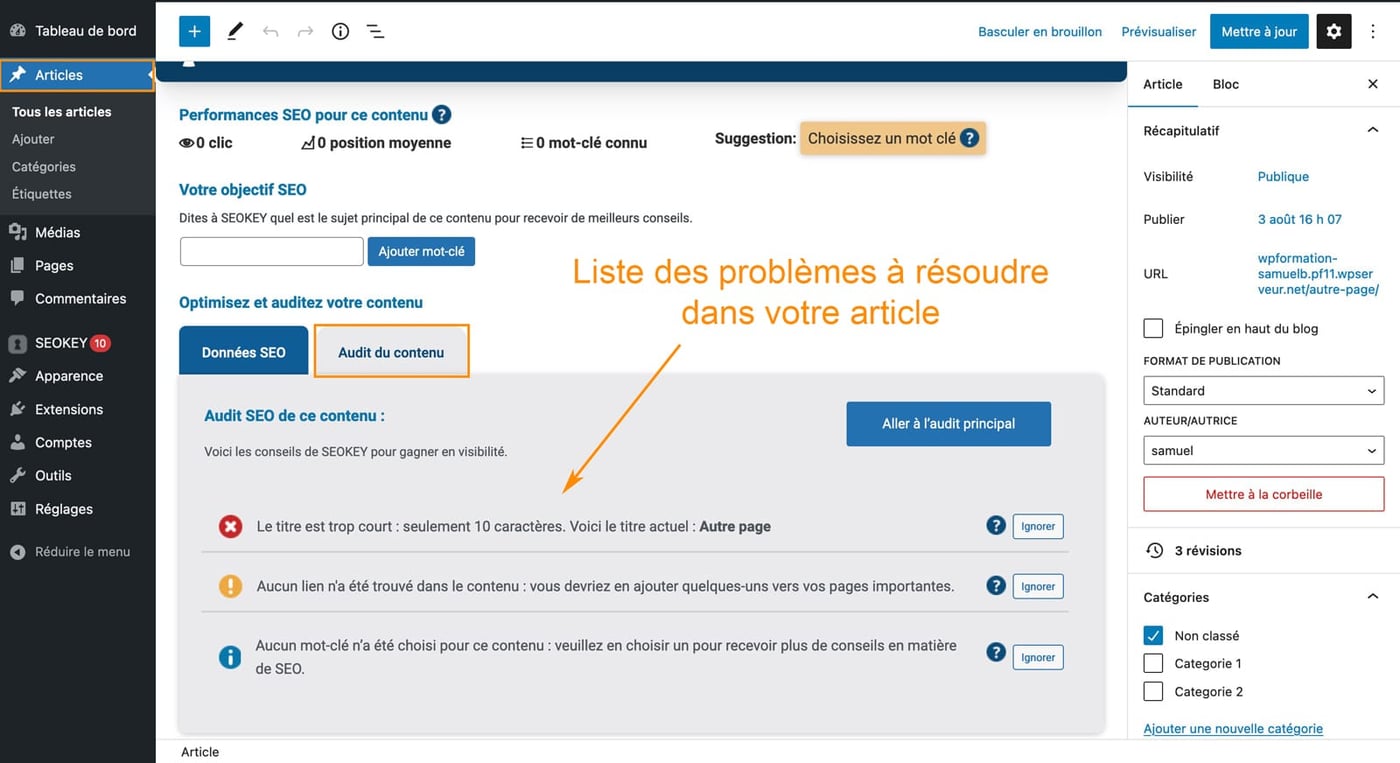 Tutoriel pour utiliser le plugin Seo Key pour le référencement WordPress