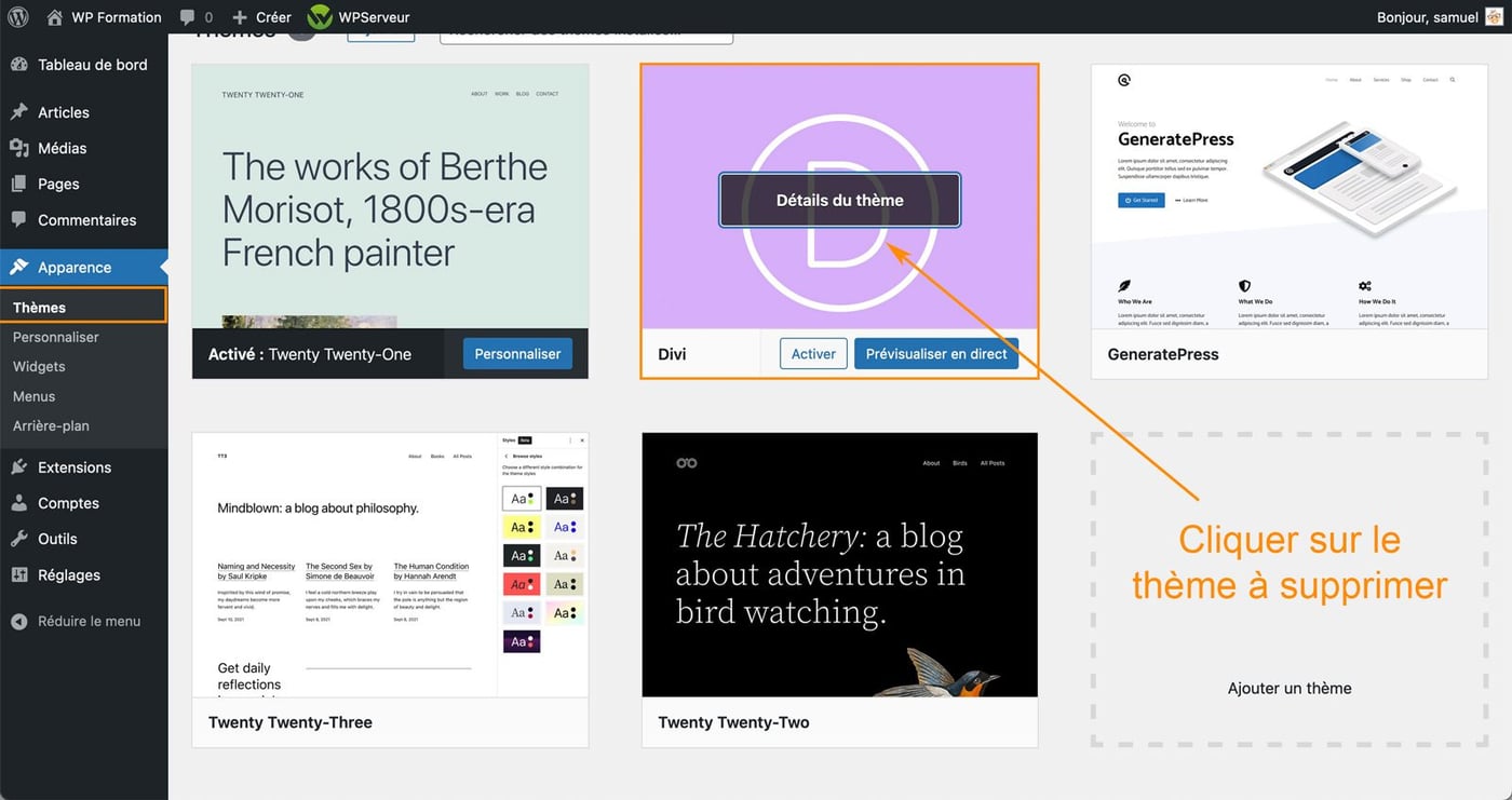 Comment supprimer un thème WordPress facilement