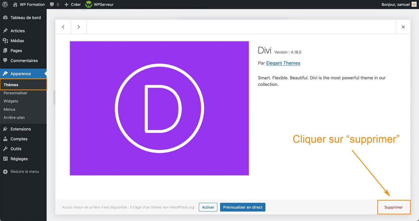 Comment supprimer un thème WordPress facilement