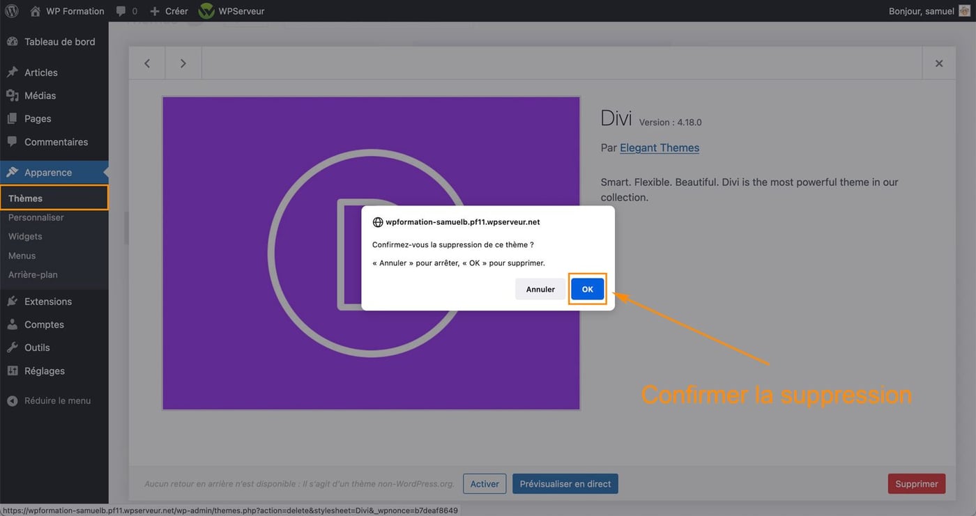 Comment supprimer un thème WordPress facilement
