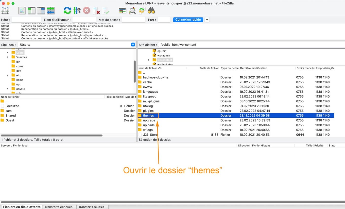 Comment supprimer un thème WordPress facilement