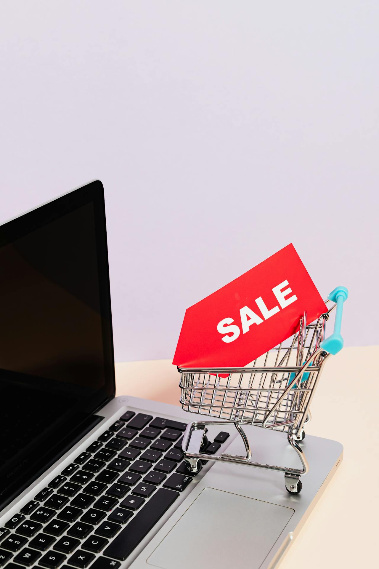 Achat en ligne et paiement sur une boutique e-commerce