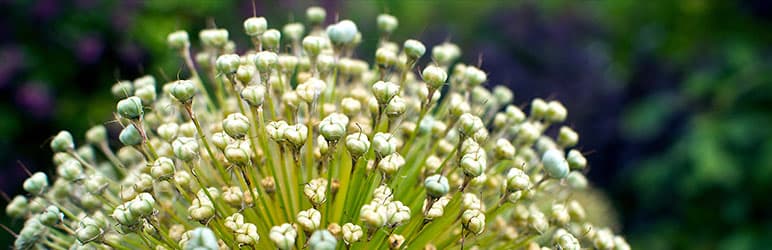 Redirection - plugin WordPress pour gérer les redirections 301 et surveiller les erreurs 404