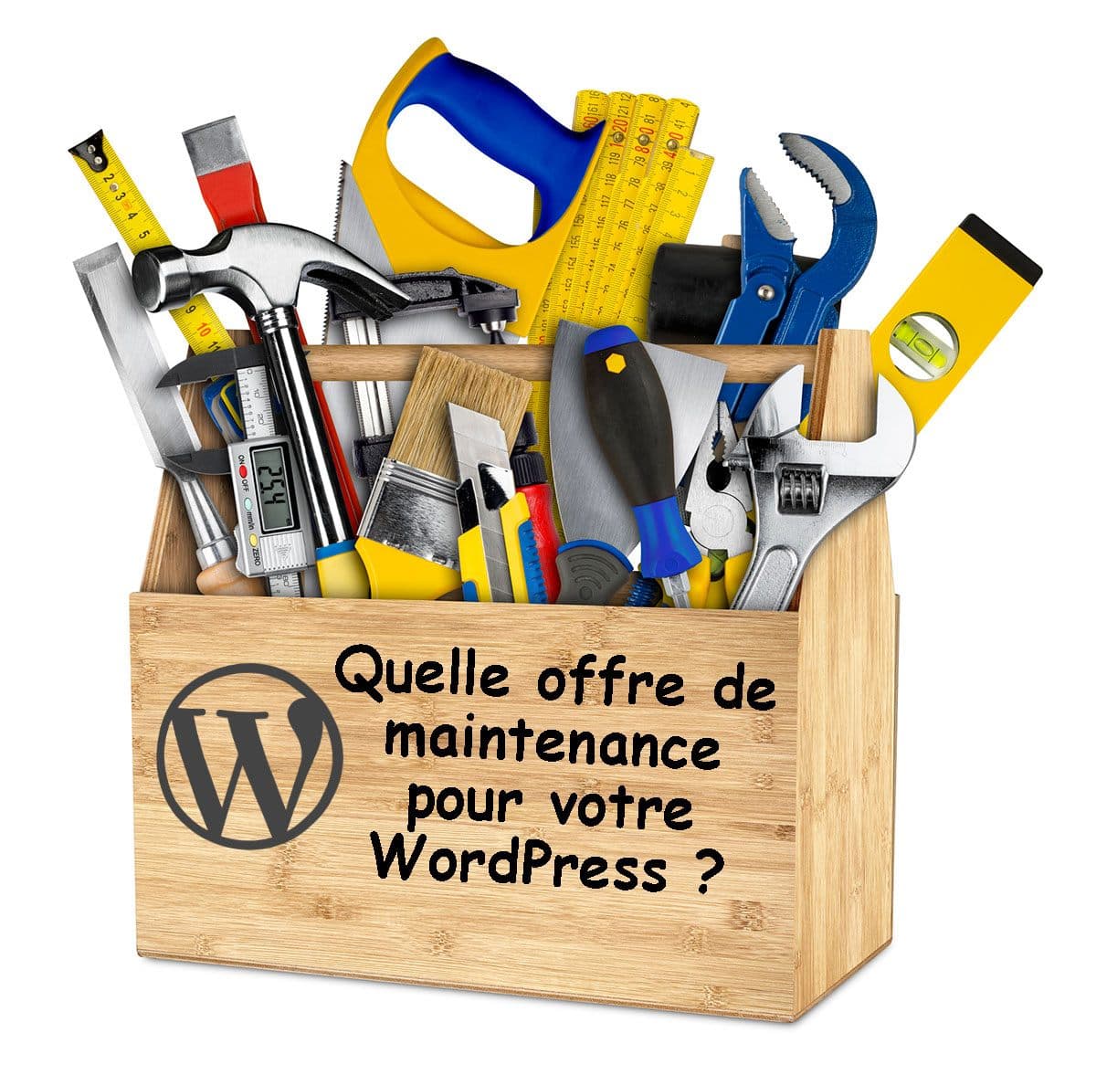 Quelle offre de maintenance pour WordPress