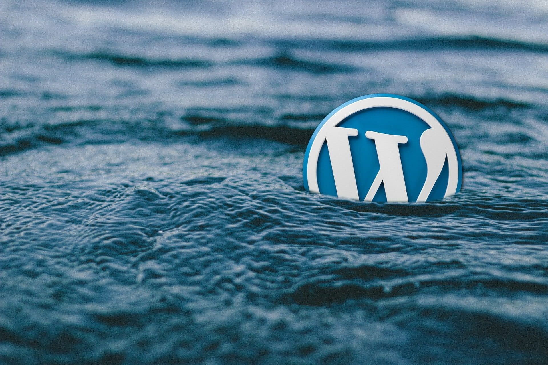 WordPress 6