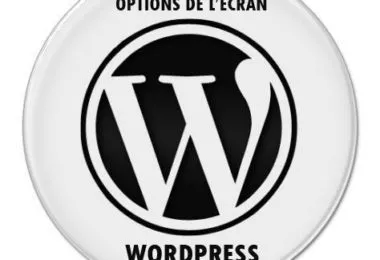 BLOG-WordPress-options-ecran-2