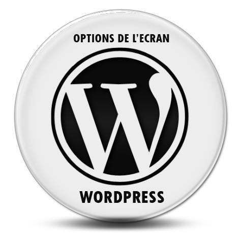 BLOG-WordPress-options-ecran-2