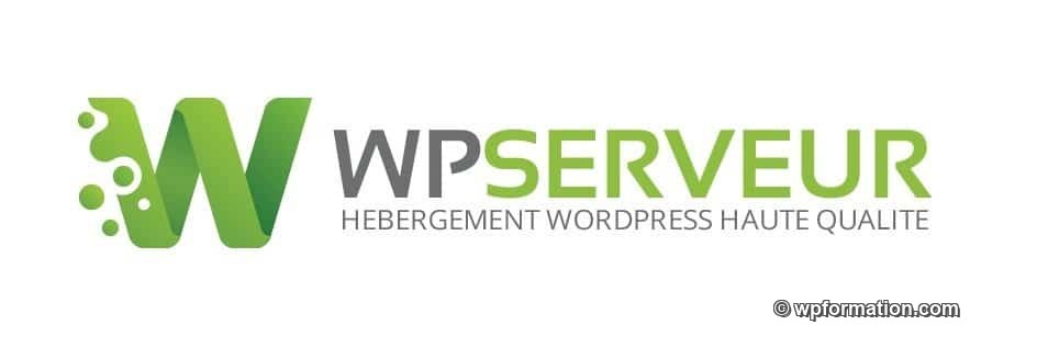 logo-wpserveur hebergement wordpress