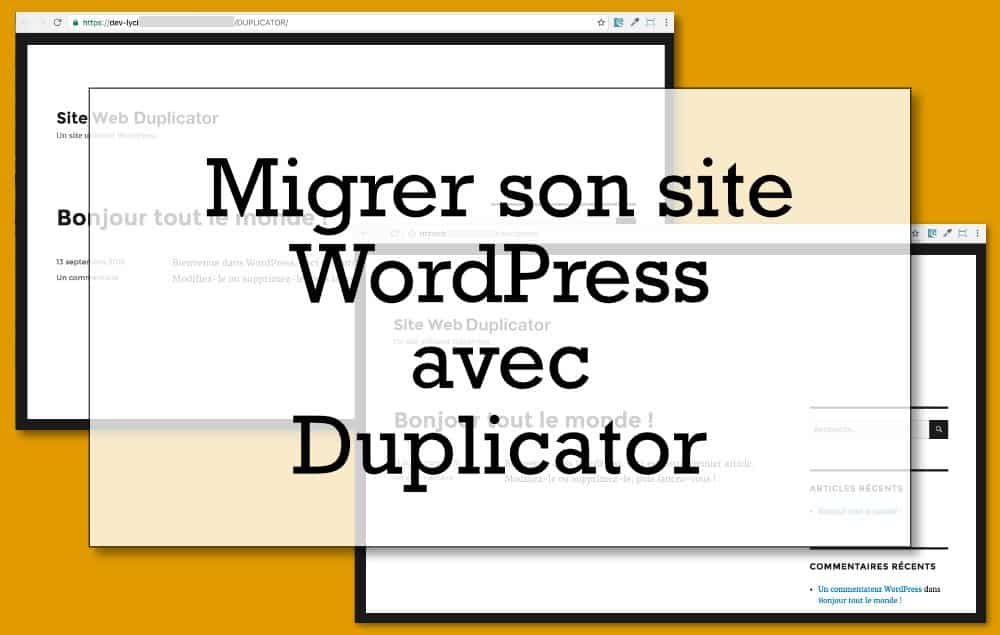 Comment copier un site WordPress facilement  Essayez Duplicator !  Le