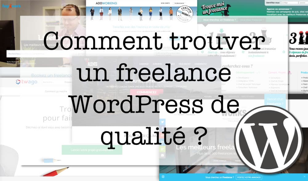 freelance WordPress