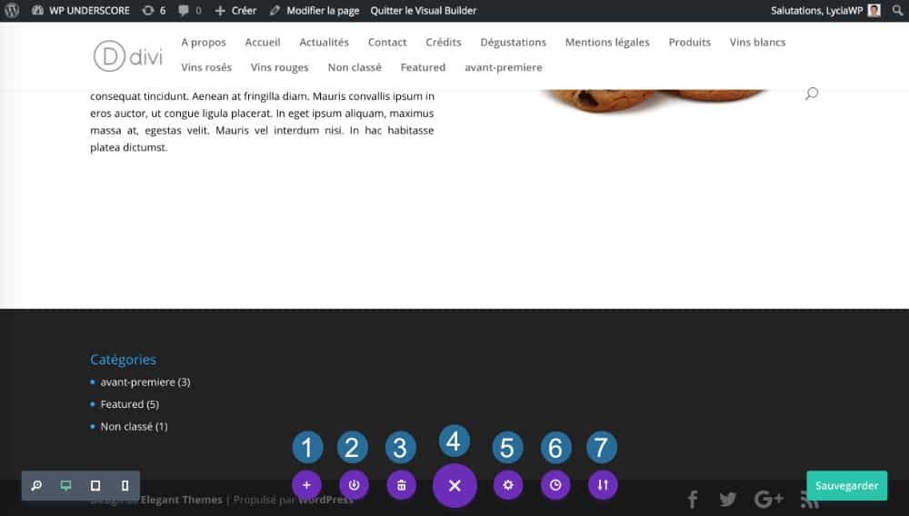 Paramétrage des pages dans le Visual Builder de DIVI 3