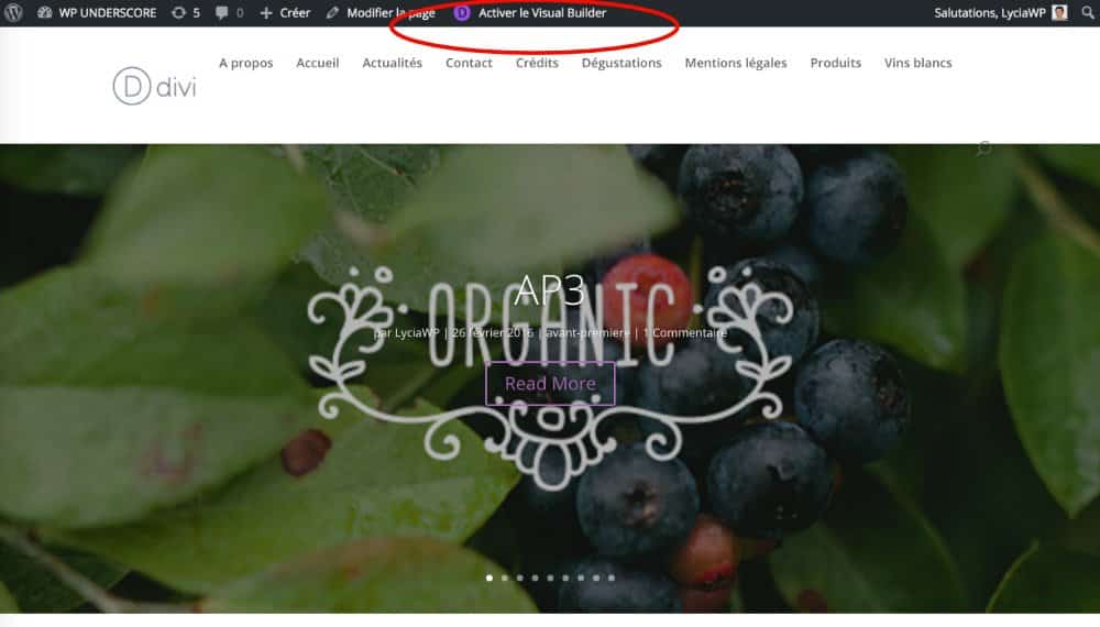Visual Builder côté Front-End
