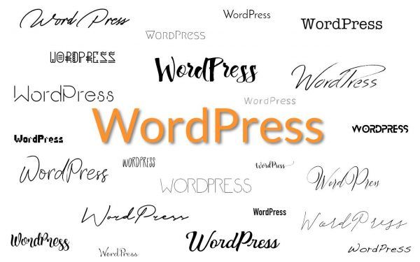 Font personalisée Wordpress-une
